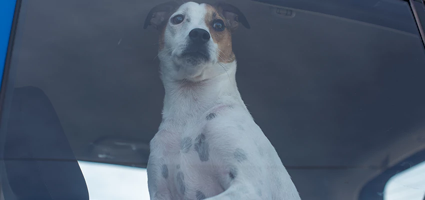 Car Lockout Solutions in Canyon Lake, California